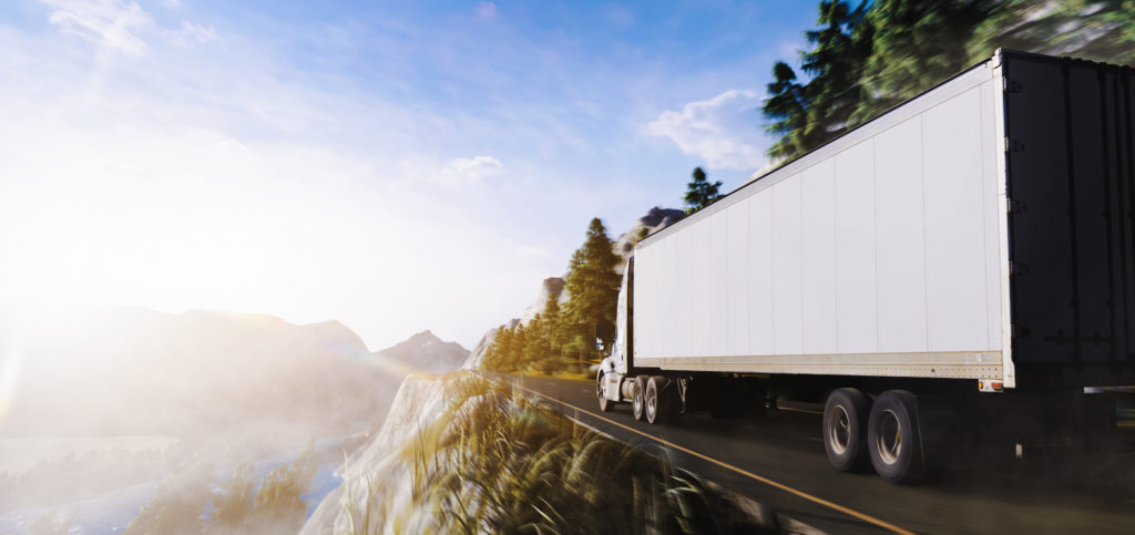 Speedy Singh Logistics - About Us
